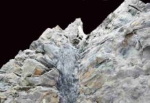 Rare 3D fossils show that some early trees had forms unlike any you’ve ever seen Sanfordiacaulis densifolia fossil (Scale is 1 m). Credit: Matthew Stimson