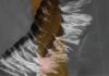 Surprising insights about debris flows on Mars Satellite image of gully landscapes on Mars, taken by HiRISE (High Resolution Imaging Experiment), a camera on board the Mars Reconnaissance Orbiter (photo no.: ESP_039114_1115). The white CO2 ice is visible on the sides of the gullies.