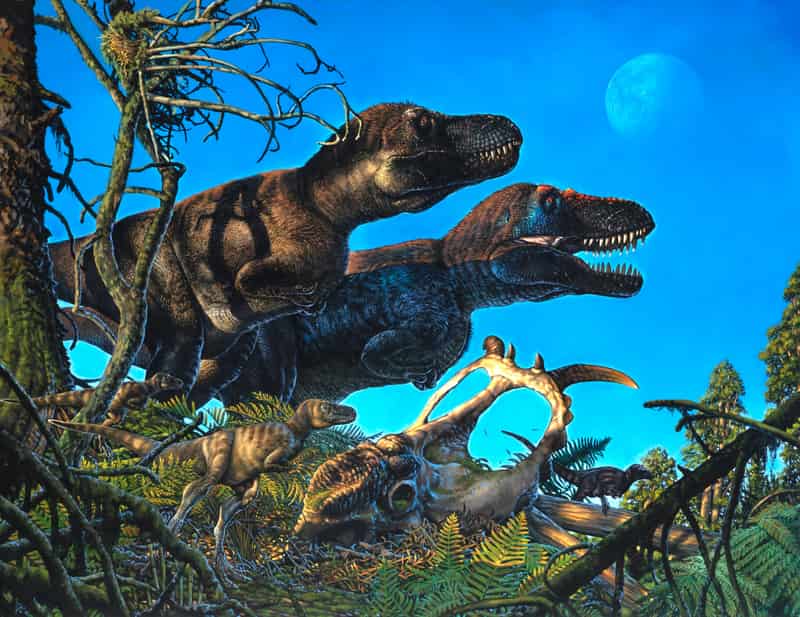 Dinosaur study challenges Bergmann's rule | Geology Page