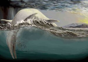 A reconstruction of a gigantic ichthyosaur - floating dead on the surface of the ocean. Remains of ichthyosaurs have been found in ocean sediment in various places around Europe. Credit: Marcello Perillo/University of Bonn