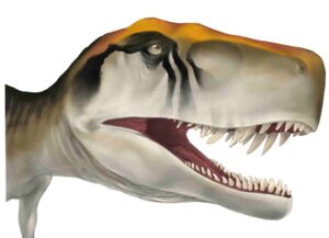 Herrerasaurus ischigualastensis is an early saurischian dinosaur. It shared a bipedal, running anatomy common to large carnivorous dinosaurs that would evolve in the future, but this dinosaur lived at a time when dinosaurs were small-bodied and rare. Credit: Kristina Curry Rogers (illustration by Jordan Harris, CC-BY 4.0 (creativecommons.org/licenses/by/4.0/)