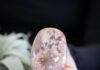 Exploring the Beauty and Mystery of Flower Agate Flower Agate