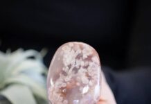 Exploring the Beauty and Mystery of Flower Agate Flower Agate