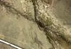 Fault maturity or orientation: Which matters more for quakes? Researchers used unmanned aerial vehicle images superimposed on centimeter-resolution topography to study the surface rupture of the 2021 magnitude 7.4 Maduo earthquake in China. This image shows the fault scarp, tensional cracks on the hanging wall, and the left-laterally offset channel. Credit: Yanxiu Shao