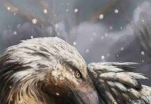 First ‘warm-blooded’ dinosaurs may have emerged 180 million years ago The artist’s impression shows a dromaeosaur, a type of feathered theropod, in the snow. This dinosaur group is popularly known as a raptor. A well-known dromaeosaur is Velociraptor, portrayed in the film Jurassic Park. Credit: Davide Bonadonna/Universidade de Vigo/UCL