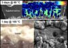A cracking discovery – eggshell waste can recover rare earth elements needed for green energy Composite image using high-resolution microscopy and spectroscopy showing the absorption and replacement processes of rare earth elements in the eggshell.