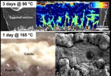 A cracking discovery – eggshell waste can recover rare earth elements needed for green energy Composite image using high-resolution microscopy and spectroscopy showing the absorption and replacement processes of rare earth elements in the eggshell.