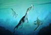 Ancient polar sea reptile fossil is oldest ever found in Southern Hemisphere Reconstruction of the oldest sea-going reptile from the Southern Hemisphere. Nothosaurs swimming along the ancient southern polar coast of what is now New Zealand around 246 million years ago. Artwork by Stavros Kundromichalis.