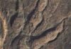 Origins of ‘Welsh dragons’ finally exposed by experts Footprint found in Triassic rocks from South Wales Credit: Cindy Howells at the National Museum of Wales