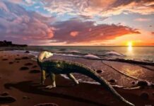 A new species of extinct crocodile relative rewrites life on the Triassic coastline Benggwigwishingasuchus eremicarminis on the Panthalassan Ocean coast artwork by Jorge Gonzalez