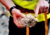 Hot traces in rock Porous dolomite rock with cavities that would be ideal for geothermal utilisation. © RUB, Marquard
