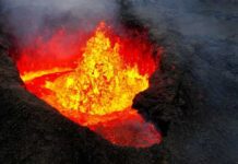 Millions of years for plants to recover from global warming Drone imagery of April 2024 eruption at Sundhnúkur, Iceland. Photo: Geoffrey Cook/Scripps Oceanography