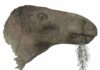 Research reveals the most complete dinosaur discovered in the UK in a century An artist’s impression of the dinosaur. Image credit: John Sibbick