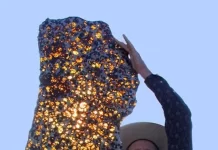 Fukang Meteorite: The Most Expensive Meteorite Fukang Meteorite