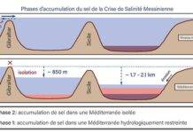 How 70% of the Mediterranean Sea was lost 5.5 million years ago The two accumulation phases of the Mediterranean salt layer during the Messinian Salinity Crisis. In the first phase, salt accumulated in a Mediterranean Basin filled with brine; in the second phase, salt accumulated in a Mediterranean completely isolated from the Atlantic Ocean, as a result of the significant drop in sea level in the western and eastern Mediterranean sub-basins. © Giovanni Aloisi