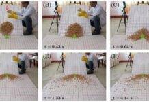 Sliding seeds can provide insight into devastating landslides and rock avalanches Sliding Champatis, the seeds of the Lapsi tree, can provide insight into devastating landslides and rock avalanches. Credit: Pudasaini et al.