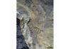 This ancient tadpole fossil is the oldest ever discovered This image provided by Mariana Chuliver shows the oldest-known tadpole fossil found in Patagonia, Argentina. Credit: Mariana Chuliver via AP