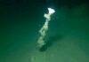 White smokers on the lake floor An individual submarine chimney at a depth of roughly 30 m. Photo: UFZ