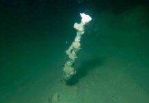 White smokers on the lake floor An individual submarine chimney at a depth of roughly 30 m. Photo: UFZ