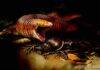 World’s Largest Worm Lizard Fossil Discovered The newly discovered worm lizard species is the largest in the world. Presumably, the animals fed mainly on snails 50 million years ago. Credit: Jaime Chirinos