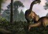 Fossil dung reveals clues to dinosaur success story The researchers have chosen to understand the biology of early dinosaurs based on their dietary preferences.