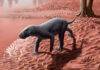 World’s oldest mammalian ancestor discovered in Mallorca Reconstruction of the appearance in life of a gorgonopsian in a floodplain of the Permian of Mallorca. Credit: Henry Sutherland Sharpe