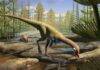 Dinosaurs roamed the northern hemisphere millions of years earlier than previously thought, according to new analysis of the oldest North American fossils An artist’s rendering shows how Ahvaytum bahndooiveche may have appeared in a habitat dating to around 230 million years ago. Illustration by Gabriel Ugueto