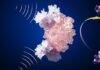 Scientists develop groundbreaking biosensor for rare earth element detection Conceptual artwork of a biosensor.