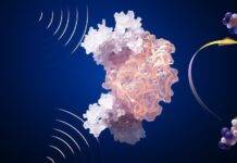 Scientists develop groundbreaking biosensor for rare earth element detection Conceptual artwork of a biosensor.