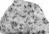 Dozens of 3-toed dinosaurs leave their mark in Queensland Detailed highlights of the rock sample at Biloela in Queensland.