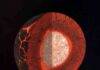 Earliest days of Earth’s formation Artistic view of Earth’s interior during mantle solidification in the first hundreds of millions of years of Earth’s history. Gravitational segregation of dense, iron-rich magma (in orange) likely formed a basal magma ocean atop the core, that can explain the present-day structure of the lower mantle.