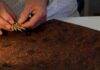 Fossil tracks revise march of early life on Earth Professor Long compares the trackways with a modern Iguana foot.