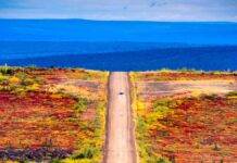 Scientists just found a massive earthquake threat hiding beneath Yukon Advanced satellite and lidar mapping has uncovered signs that the Tintina fault in Canada's Yukon may be primed for a powerful earthquake. (Image credit: Pierre Longnus via Getty Images)