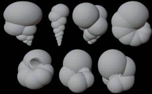 Credit: Sanjana Banerjee, NC State University