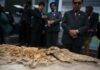 12-million-year-old porpoise fossil found in Peru A complete petrified skeleton of an ancestor of modern porpoises dating back more than 10 million years is unveiled at the Geological, Mining, and Metallurgical Institute (INGEMMET) in Lima on September 17, 2025.