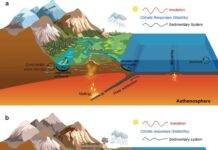How tectonics and astronomical cycles shaped the Late Paleozoic climate Schematic representation of tectonic and climatic influences on organic carbon burial. Credit: Nature Communications (2025). DOI: 10.1038/s41467-025-63896-z