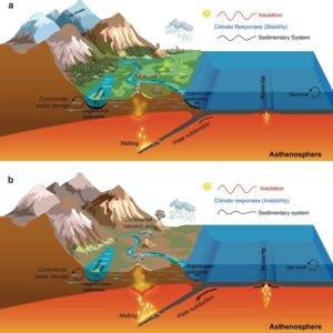 Schematic representation of tectonic and climatic influences on organic carbon burial. Credit: Nature Communications (2025). DOI: 10.1038/s41467-025-63896-z