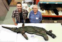 Rare Jurassic ‘sword dragon’ prehistoric reptile discovered in the UK sword dragon. Credit: University of Manchester