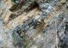Sedimentary rocks reveal ancient ocean floor cooling Row of embedded "cherts" in an outcrop in Southeast China. Credit: Michael Tatzel