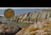 Fossil lichen from Devonian era shows how fungi-algae alliance paved way for terrestrial life Credit: J. Lacerda