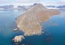 How algae helped some life outlast extinction New research suggests that higher-latitude marine environments, such as those around the Selmaneset section in western Svalbard, seen here, may have provided a refuge for sea life during the Great Dying. Credit: Tereza Mosociova