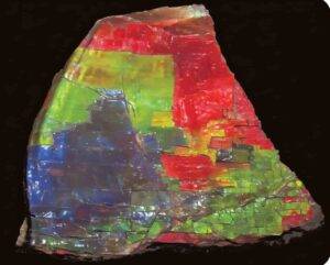 Ammolite shows (almost) the complete color spectrum. Credit: Gems & Gemology (2001). DOI: 10.5741/gems.37.1.4