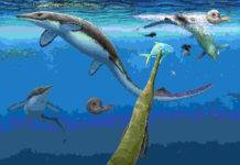 Oldest oceanic reptile ecosystem from the Age of Dinosaurs found on Arctic island Earliest oceanic tetrapod ecosystem from 249 million years ago. A pod of the small-bodied ichthyopterygian ('fish-lizard') Grippia longirostris hunting squid-like ammonoids (top left). The marine amphibian Aphaneramma captures the bony fish Bobastrania (foreground). The gigantic ichthyosaur Cymbospondylus lurks in the depths (bottom right). Fossil of these ancient marine reptiles and amphibians are today preserved on the Arctic island of Spitsbergen in the Svalbard archipelago. Credit: Robert Back