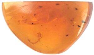 Credit: André Amaral, AG Haug