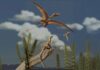 Fossil brain scans show pterosaurs evolved flight in a flash Reconstruction of a Late Triassic landscape (approximately 215 million years ago). A lagerpetid, a close relative of pterosaurs, is perched on a rock, observing pterosaurs flying overhead. Credit: Matheus Fernandes, edited