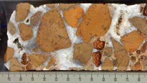 Cores of lava breccia, cemented with white calcium carbonate minerals, recovered from IODP Site U1557. Credit: IODP JRSO