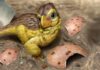Scientists found a hidden clock inside dinosaur eggshells Artistic reconstruction of a newly hatched troodontid-like dinosaur resting among fragments of its eggshell (loosely based on Mongolian microtroodontid-type). These eggshells, when buried within ancient soil, interacted with meteoric waters, leading to early uranium incorporation into the eggshell calcite crystals. Credit: Eva Utsukiyouhei (宇津城遥平)