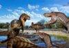 This rare bone finally settles the Nanotyrannus mystery A Late Cretaceous face-off between an adult Nanotyrannus (left) and two juvenile T. rex, with a sub-adult T. rex watching from a distance. The scene evokes a preface to the NHMLAC’s famous T. rex trio on display in the Jane G. Pisano Dinosaur Hall. Credit: Jorge Gonzalez