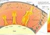 Mantle Plume Initiation and the Role of Large Low-Shear-Velocity Provinces (LLSVPs) Dynamic nature of Earth’s interior.