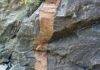Niobium Carbonatites: Petrology and Mineralization Processes Calciocarbonatite in the Precambrian of Ontario, Canada.